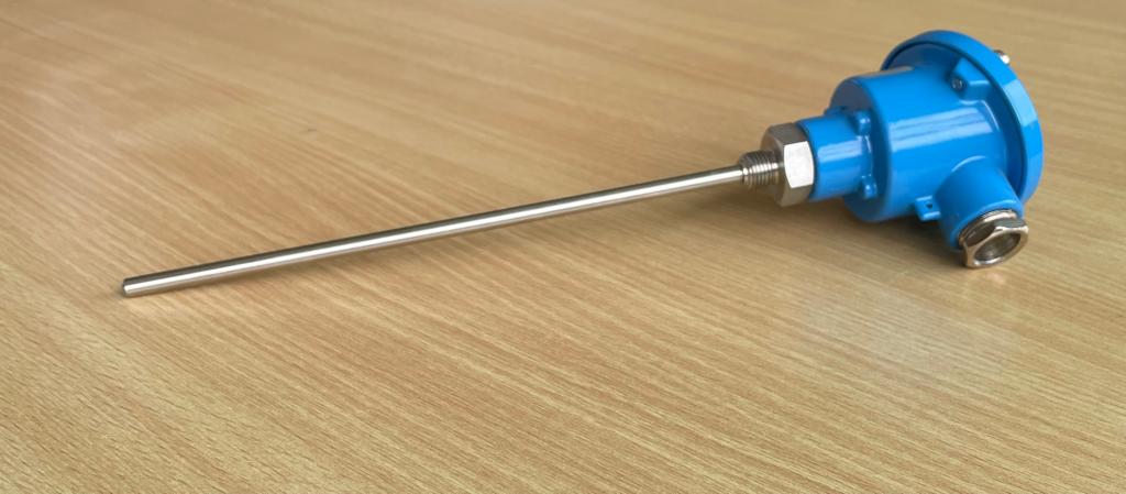 Sonda temperatura a pozzetto